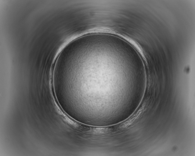 X0000100951390200807011258