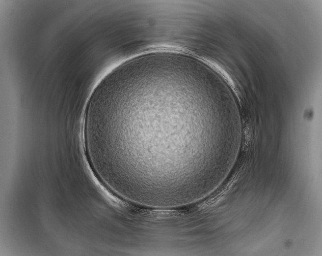 X0000100951391200807011258