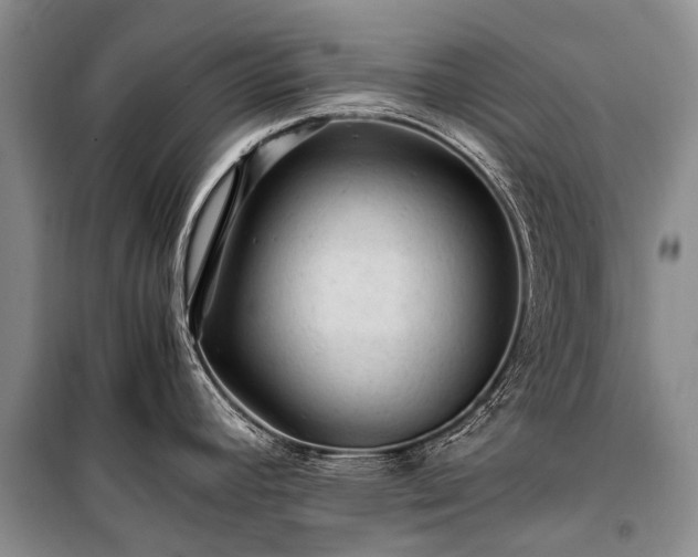 X0000100951392200807011258