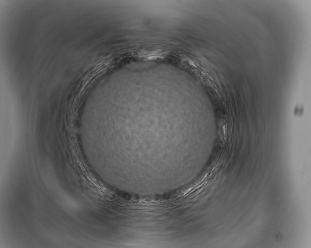 X0000100951393200807011258