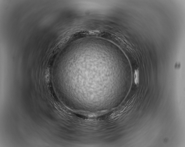X0000100951395200807011258