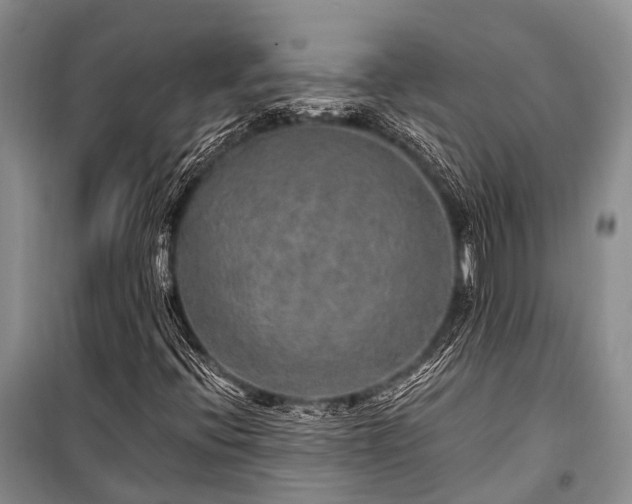 X0000100951396200807011258
