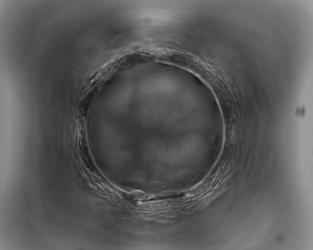 X0000100951397200807011258