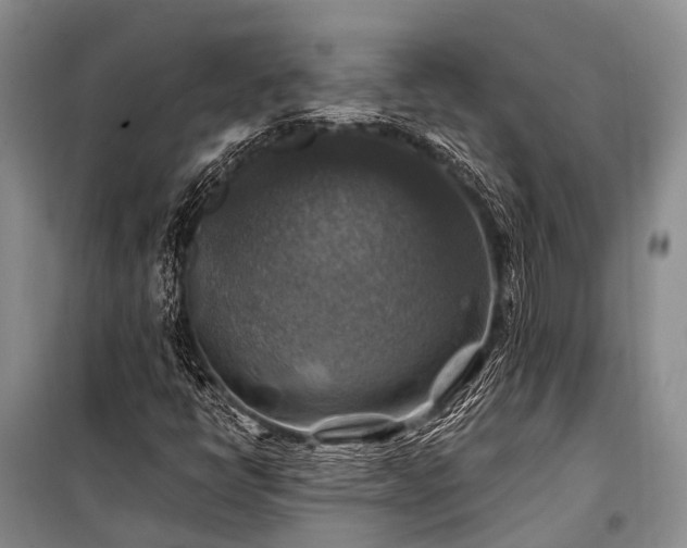 X0000100951398200807011258