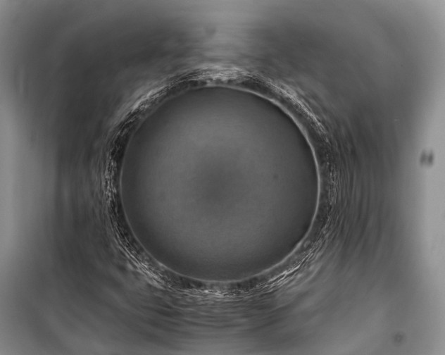 X0000100951399200807011258