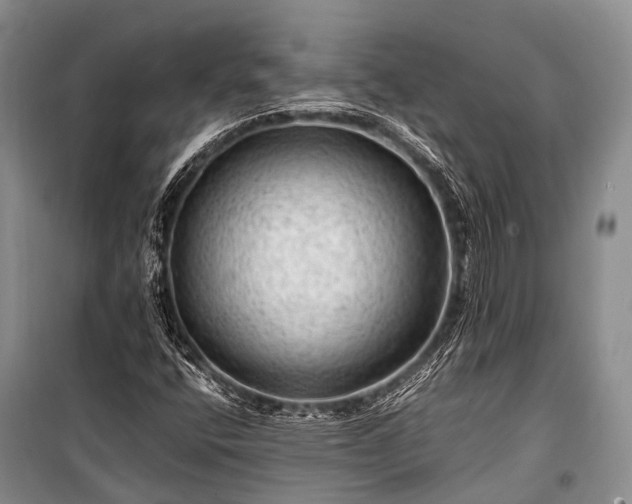 X0000100951400200807011258