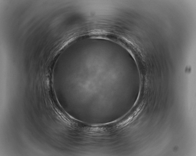 X0000100951401200807011258