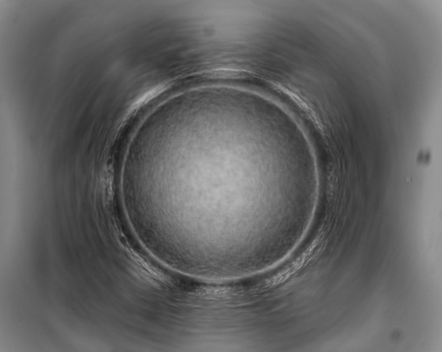 X0000100951402200807011258