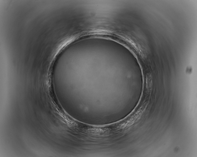 X0000100951405200807011258