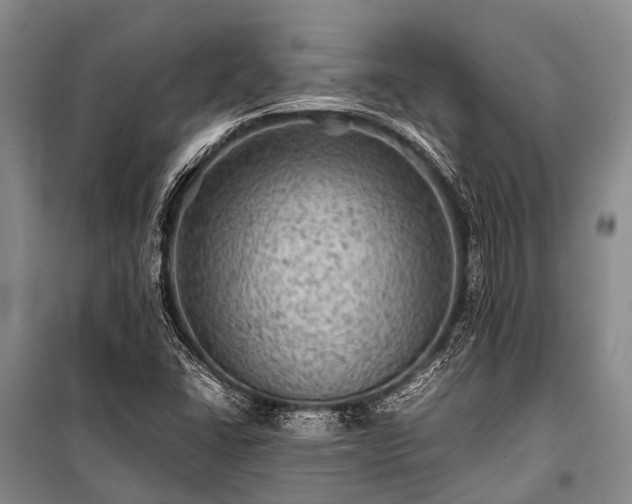 X0000100951406200807011258