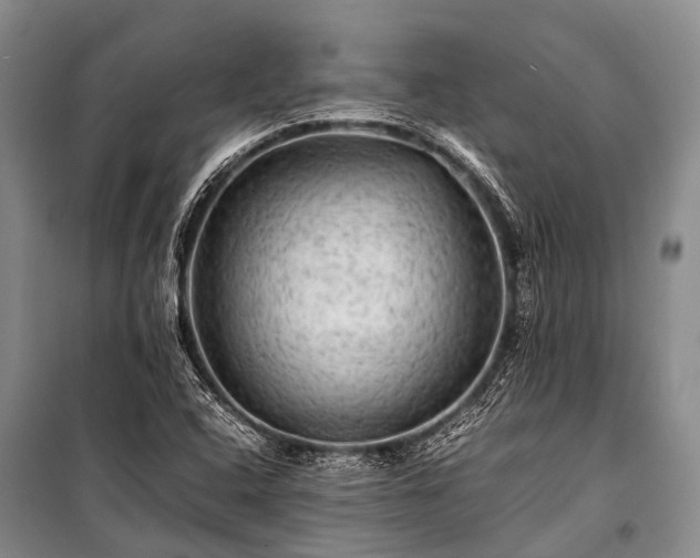 X0000100951408200807011258