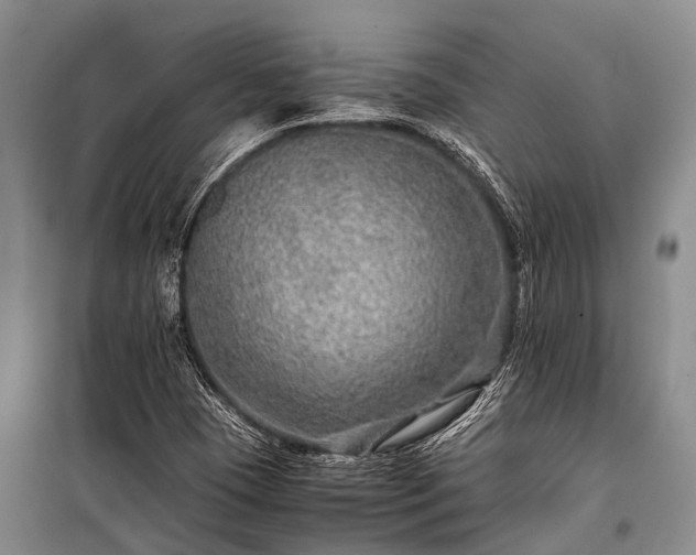 X0000100951409200807011258