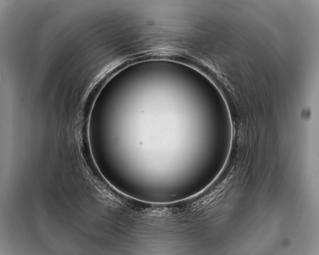 X0000100951410200807011258