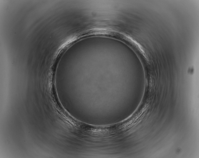 X0000100951411200807011258