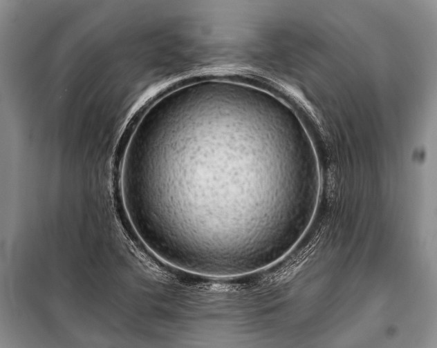 X0000100951412200807011258