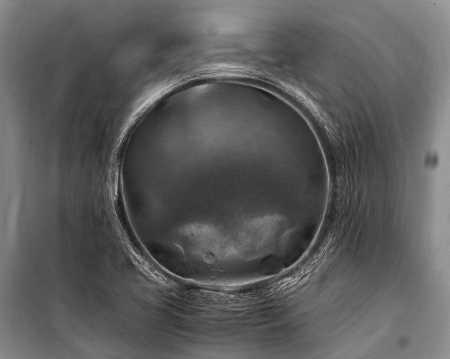 X0000100951413200807011258