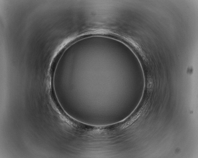 X0000100951414200807011258
