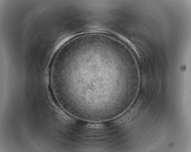 X0000100951415200807011258