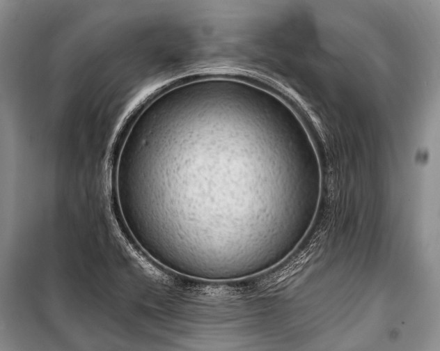X0000100951416200807011258