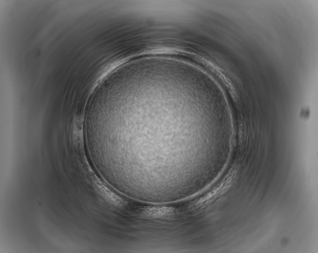 X0000100951417200807011258