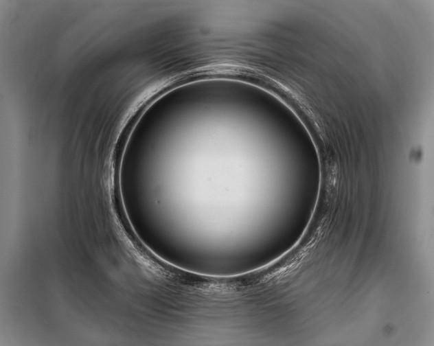 X0000100951418200807011258