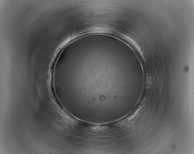 X0000100951419200807011258