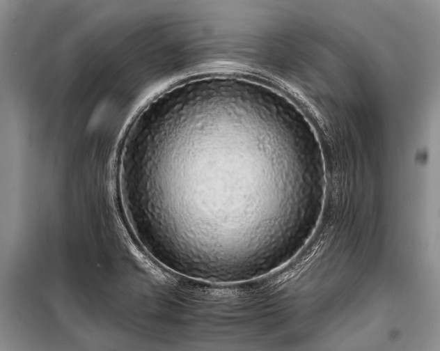 X0000100951421200807011258