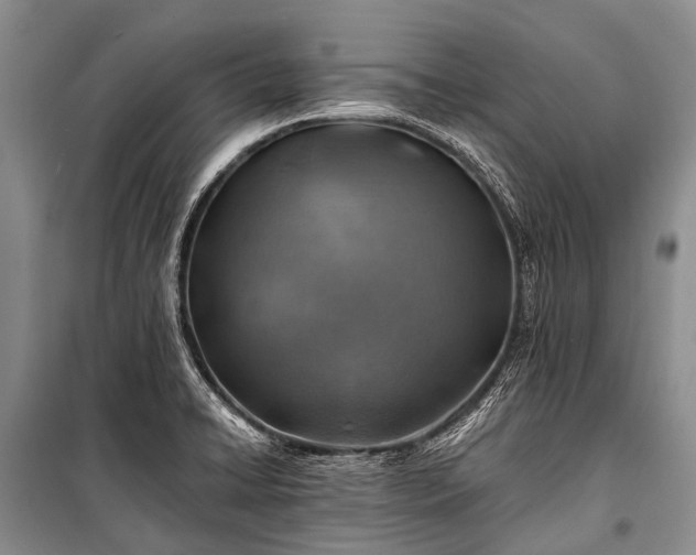 X0000100951422200807011258