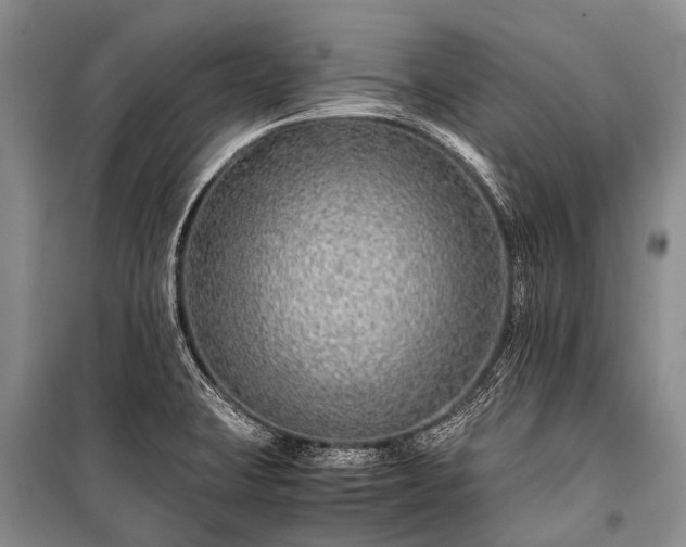X0000100951423200807011258