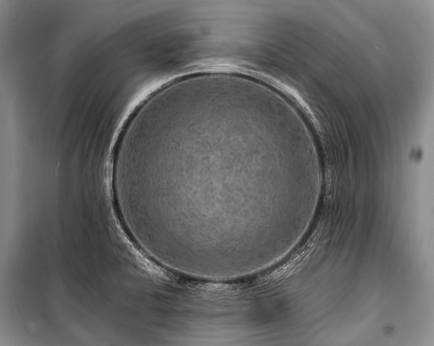 X0000100951424200807011258