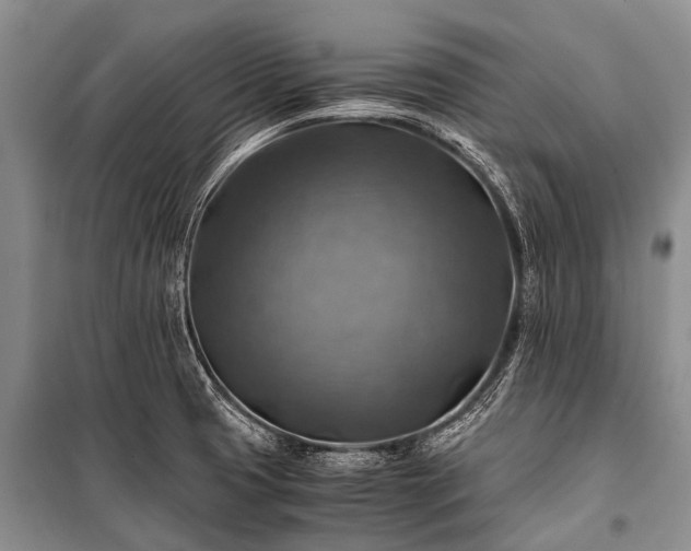 X0000100951425200807011258