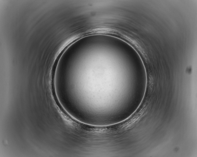 X0000100951426200807011258
