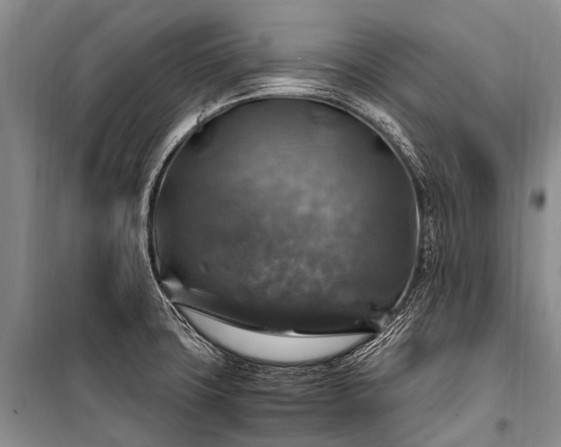 X0000100951427200807011258