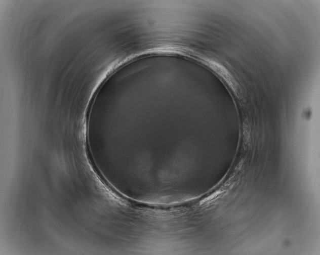 X0000100951428200807011258