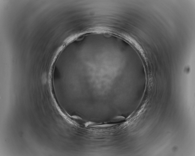 X0000100951429200807011258
