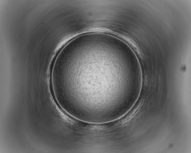X0000100951430200807011258