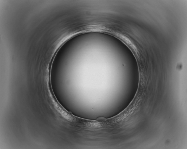 X0000100951431200807011258