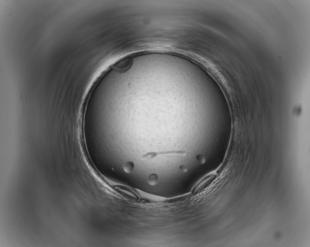 X0000100951432200807011258