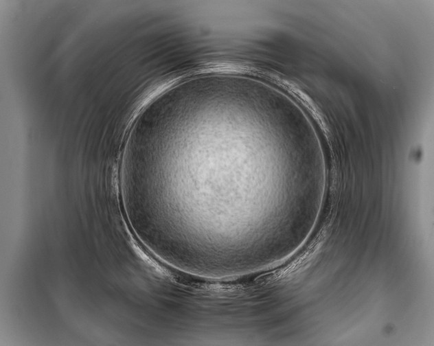 X0000100951433200807011258