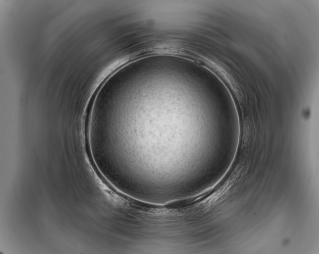 X0000100951434200807011258