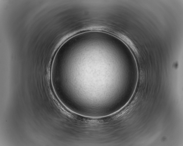 X0000100951436200807011258