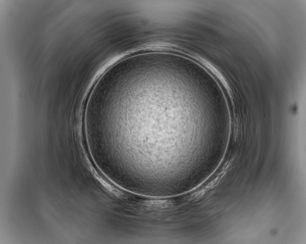 X0000100951437200807011258