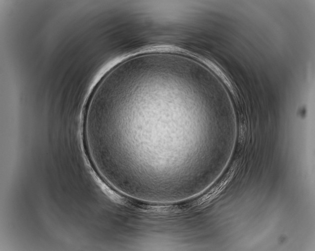 X0000100951438200807011258