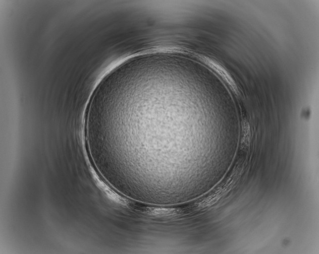 X0000100951439200807011258