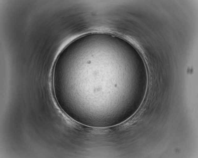 X0000100951440200807011258