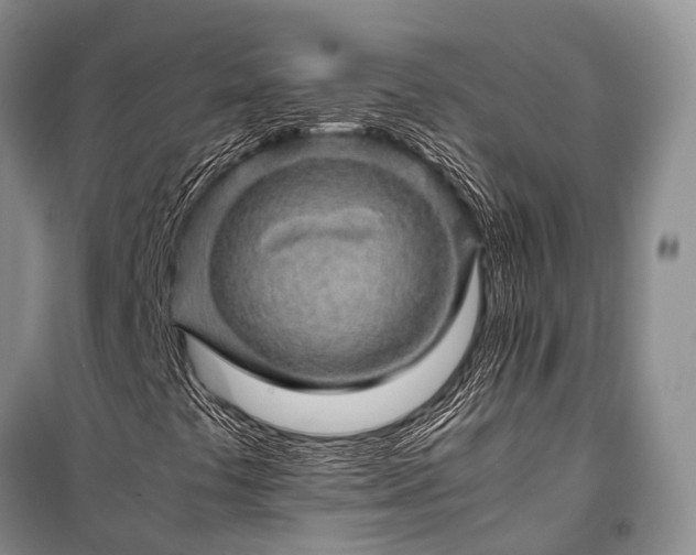X0000100951441200807011257