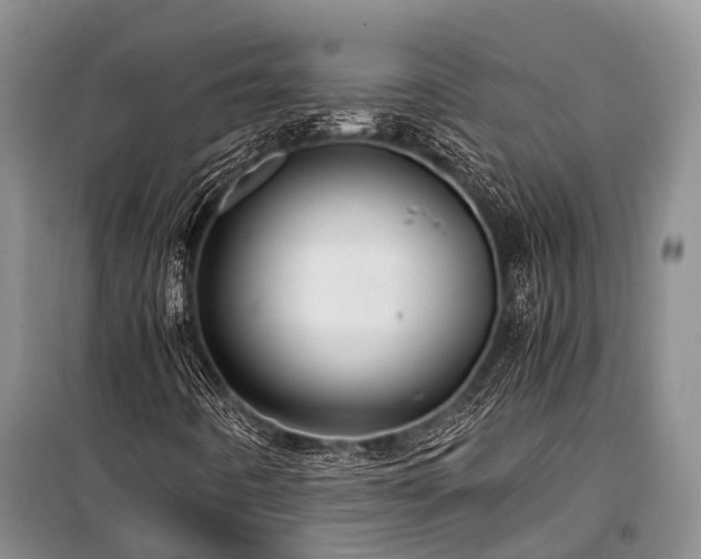 X0000100951442200807011257