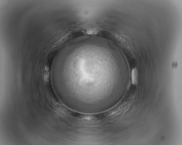 X0000100951443200807011257