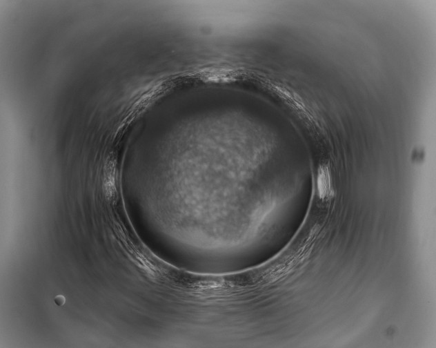 X0000100951444200807011257