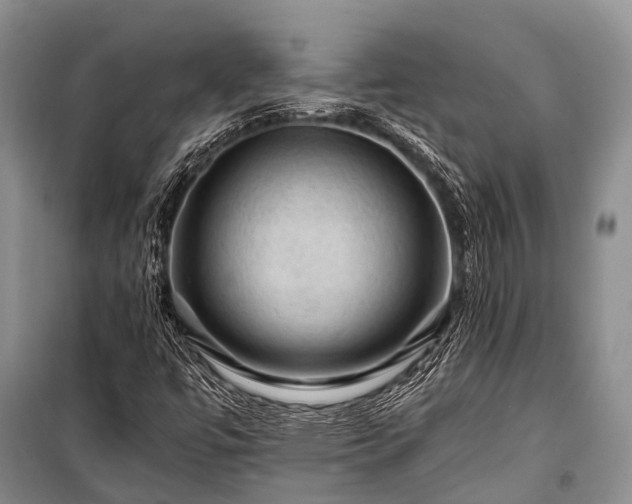 X0000100951447200807011257